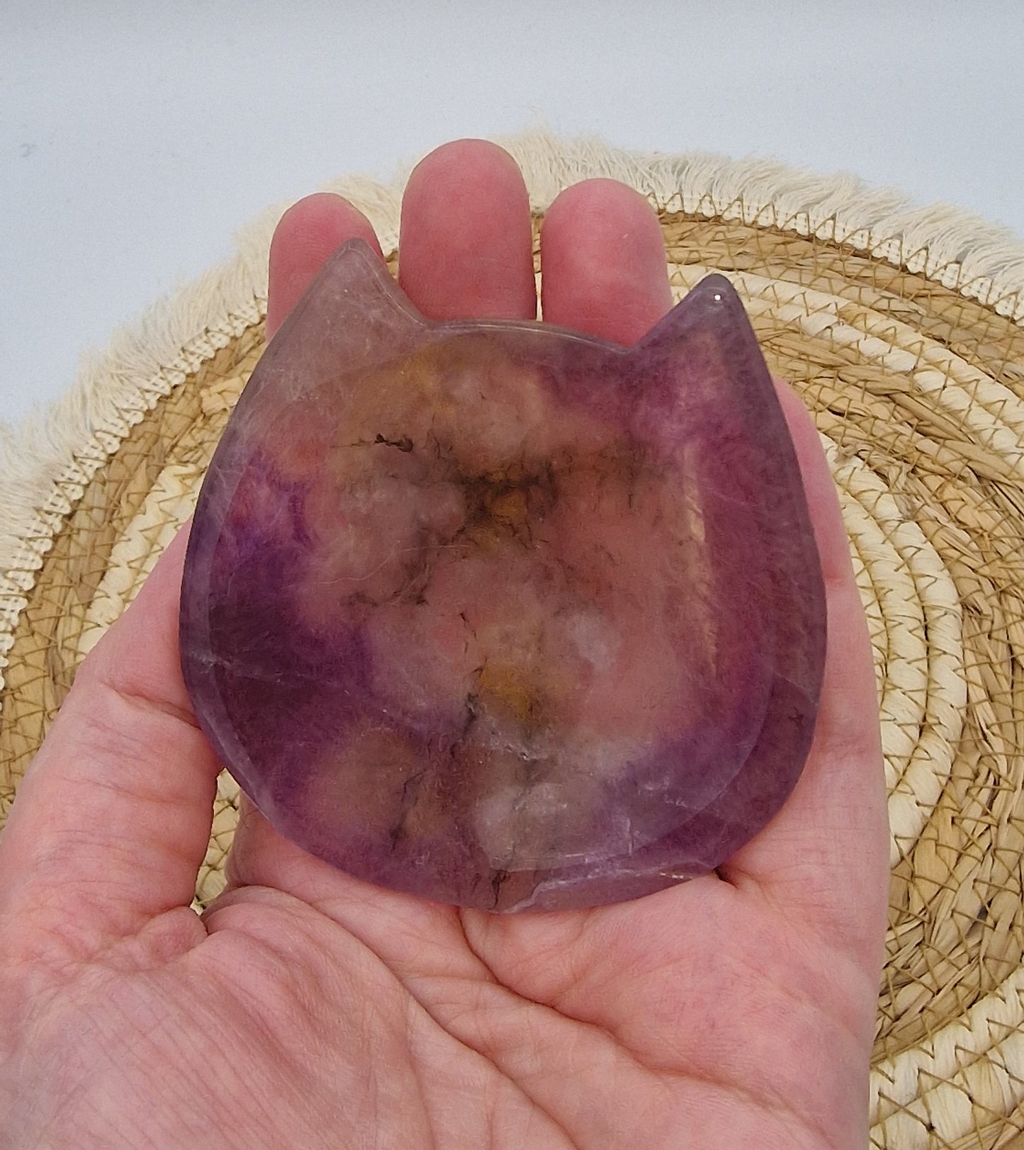 Fluoriet schaaltje kat