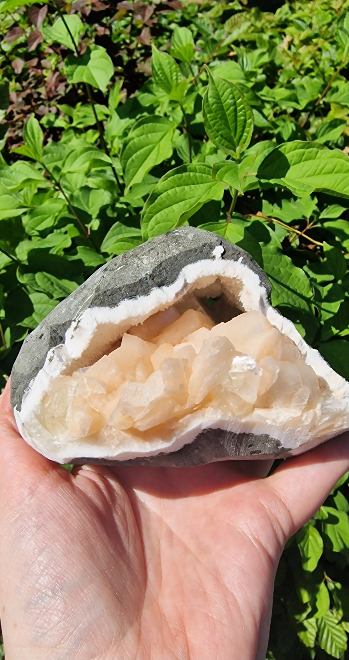 Heulandietgeode nr 30