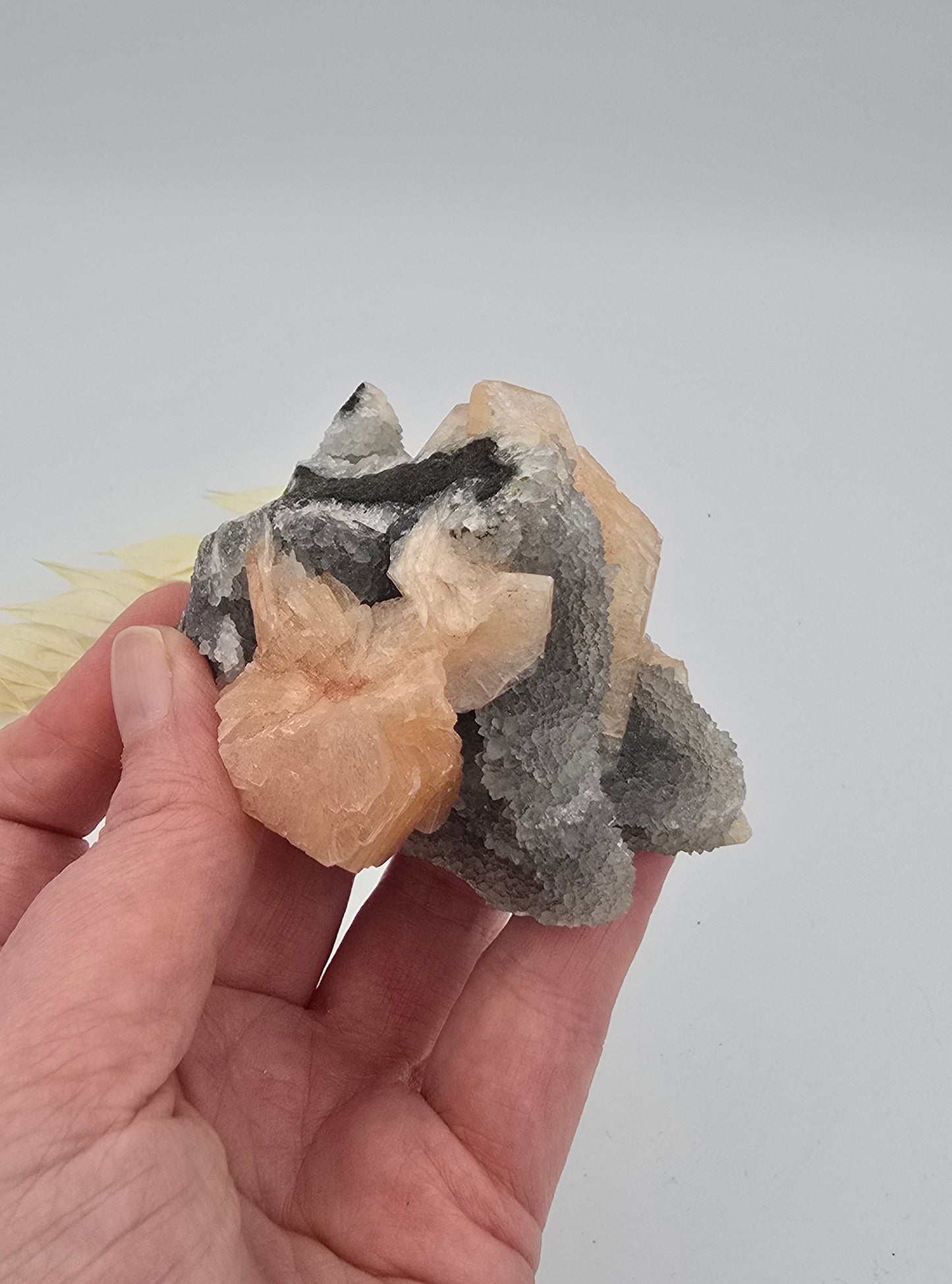Chalcedoon met Stilbiet 52