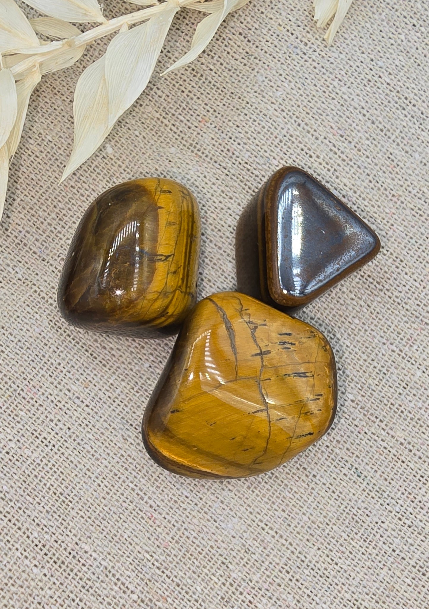 Tijgeroog