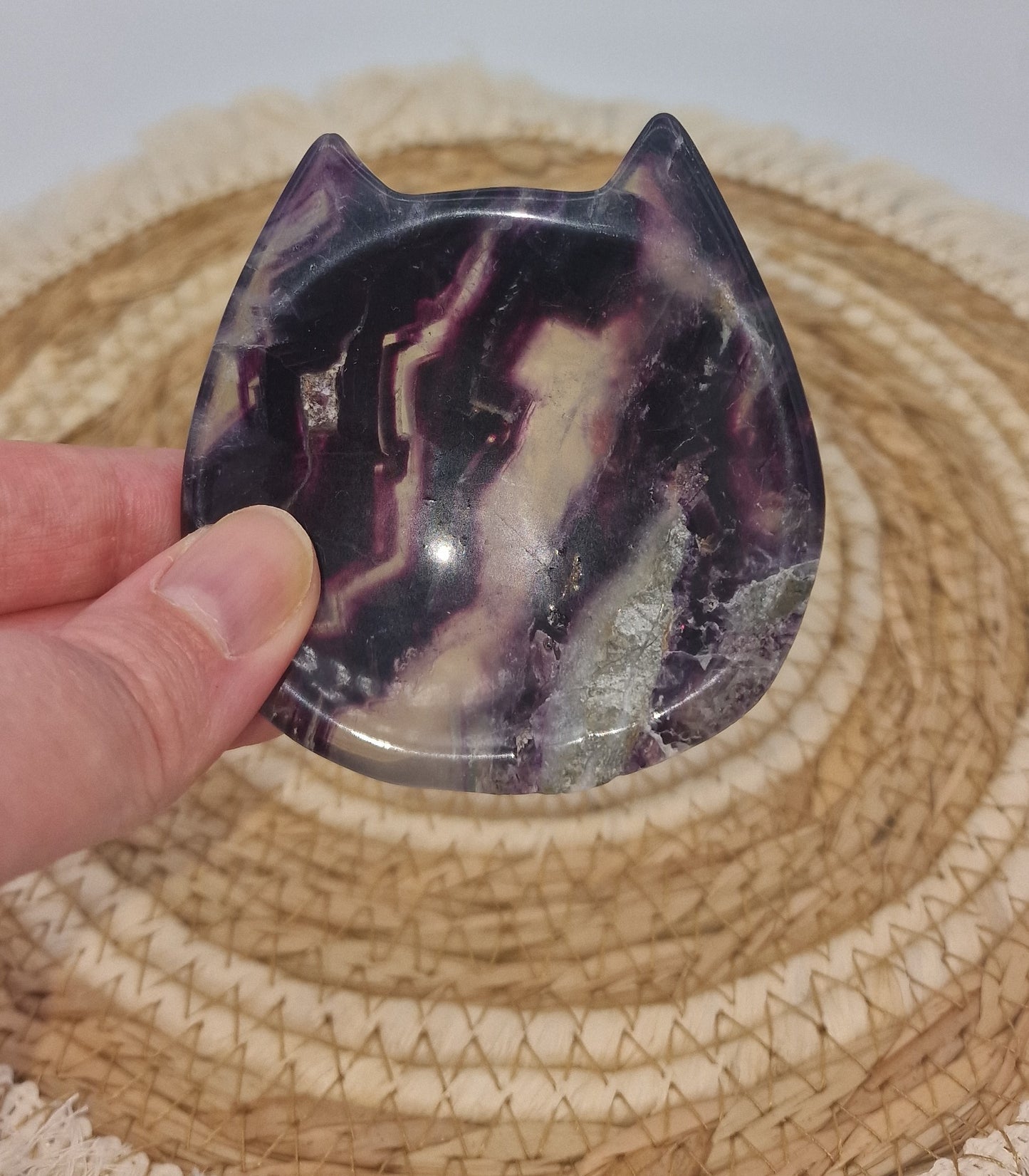 Fluoriet schaaltje kat