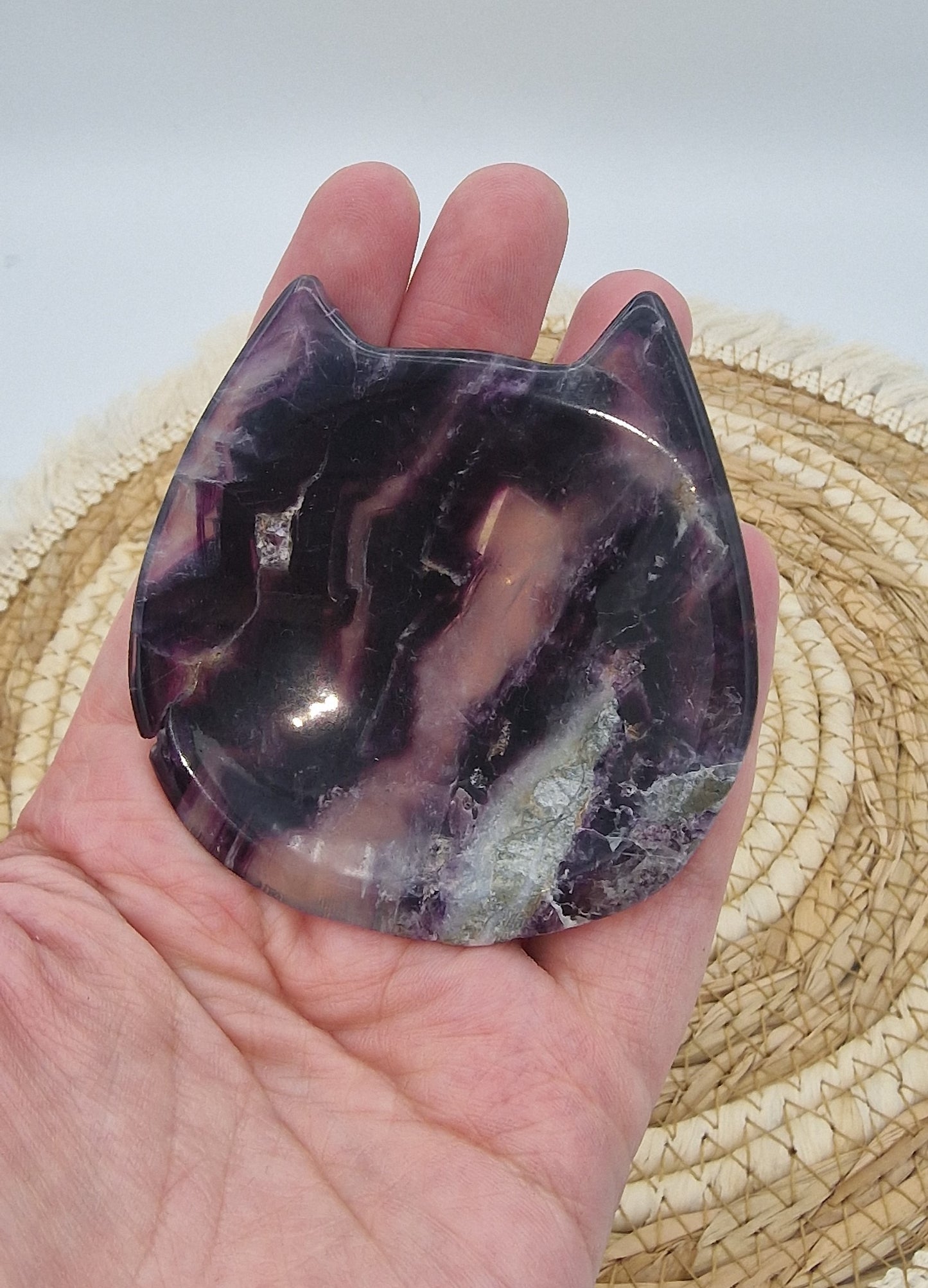 Fluoriet schaaltje kat