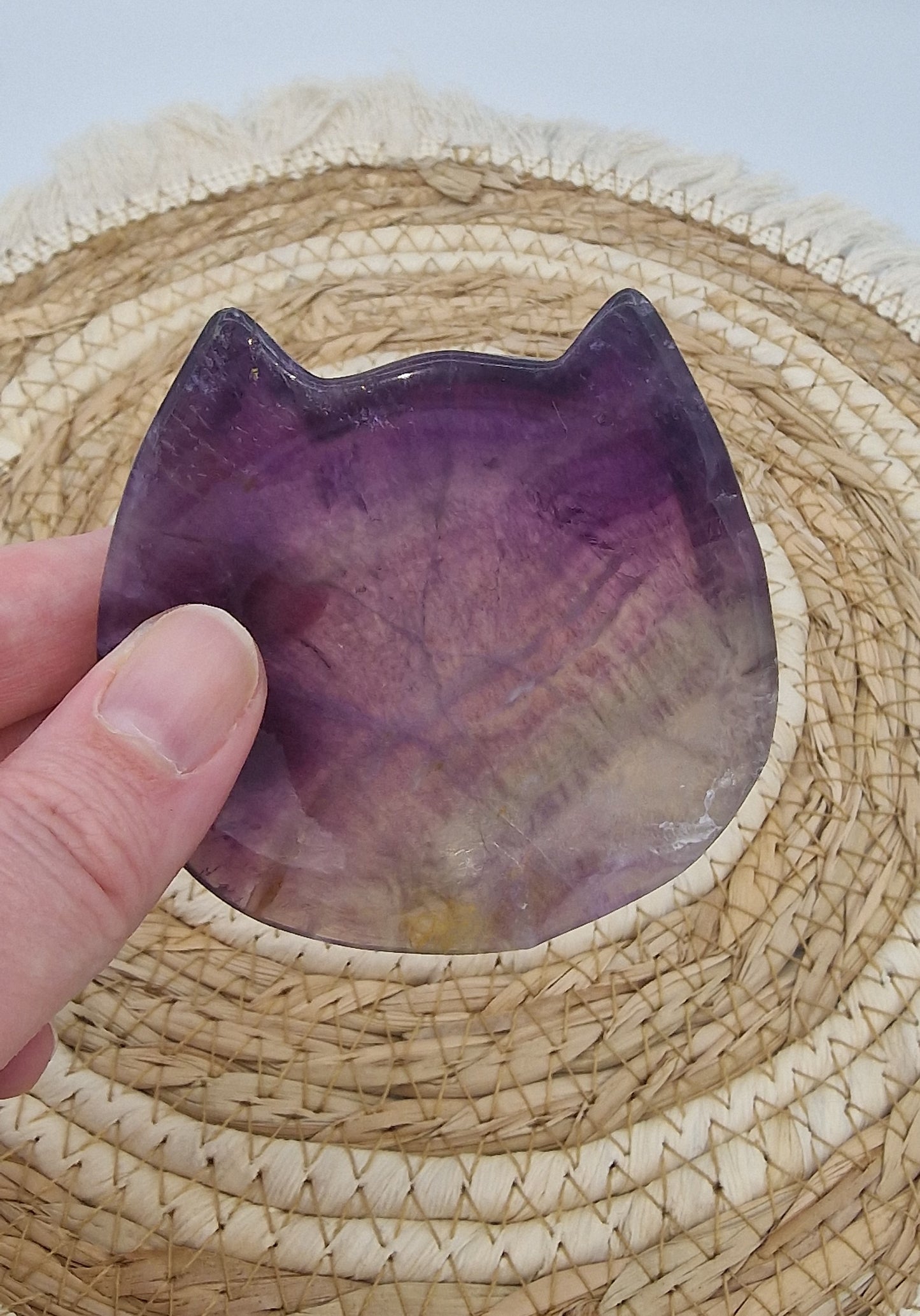 Fluoriet schaaltje kat