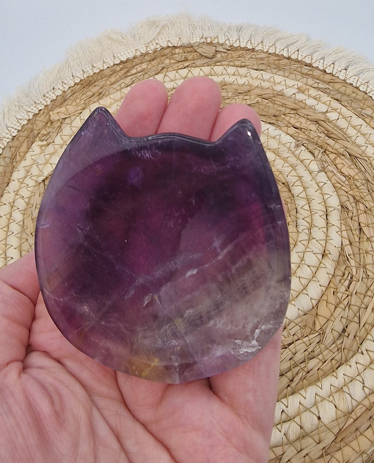 Fluoriet schaaltje kat