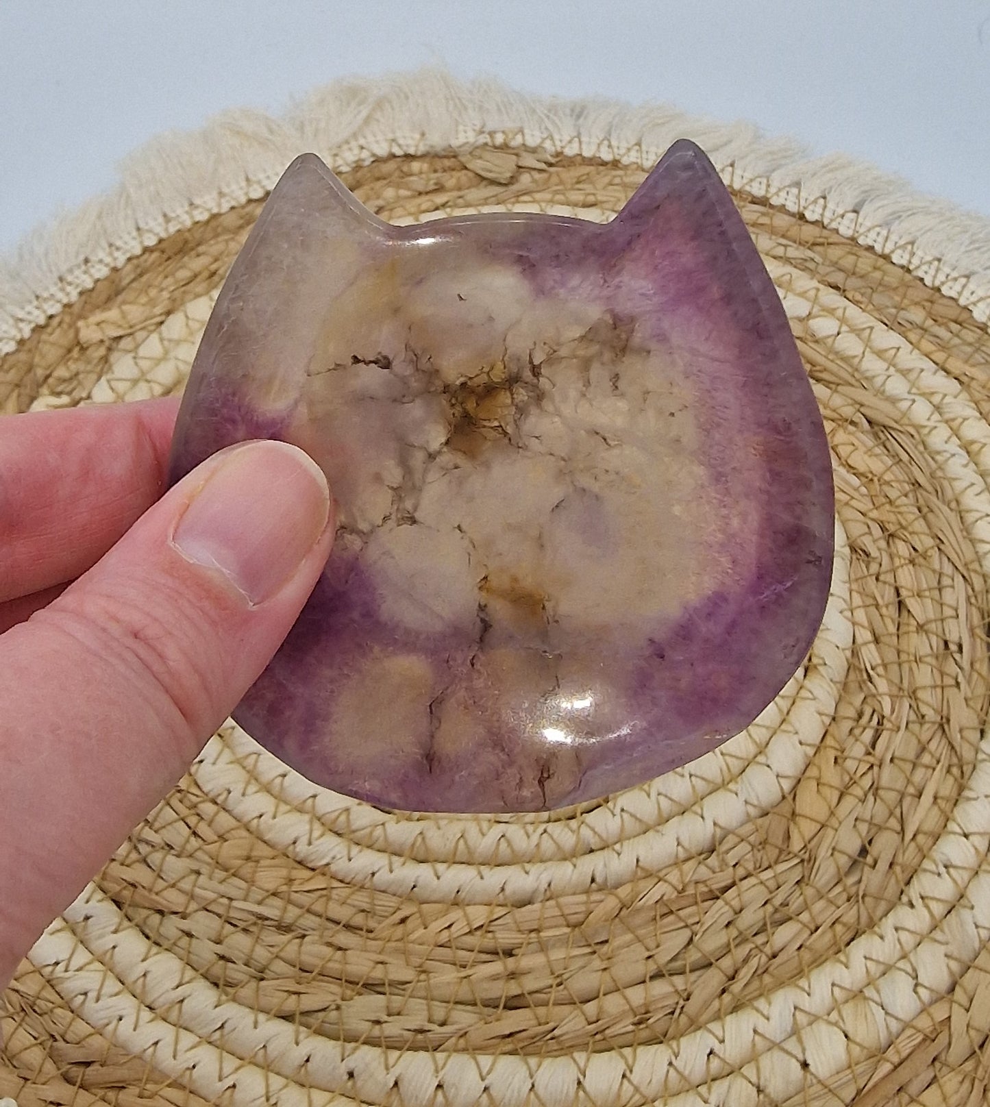 Fluoriet schaaltje kat