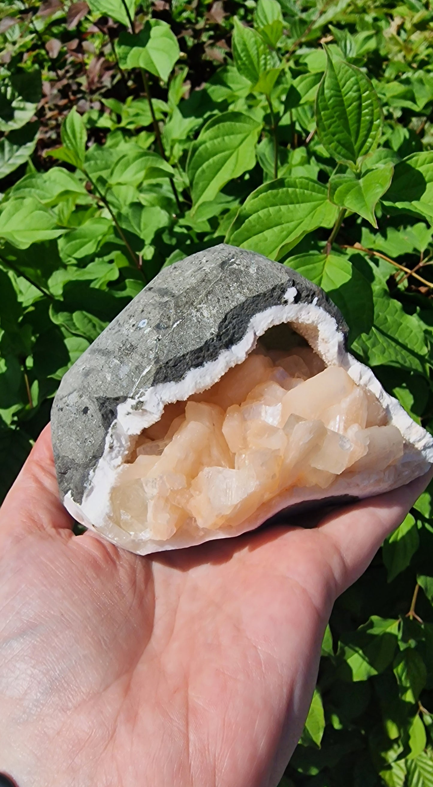 Heulandietgeode nr 30