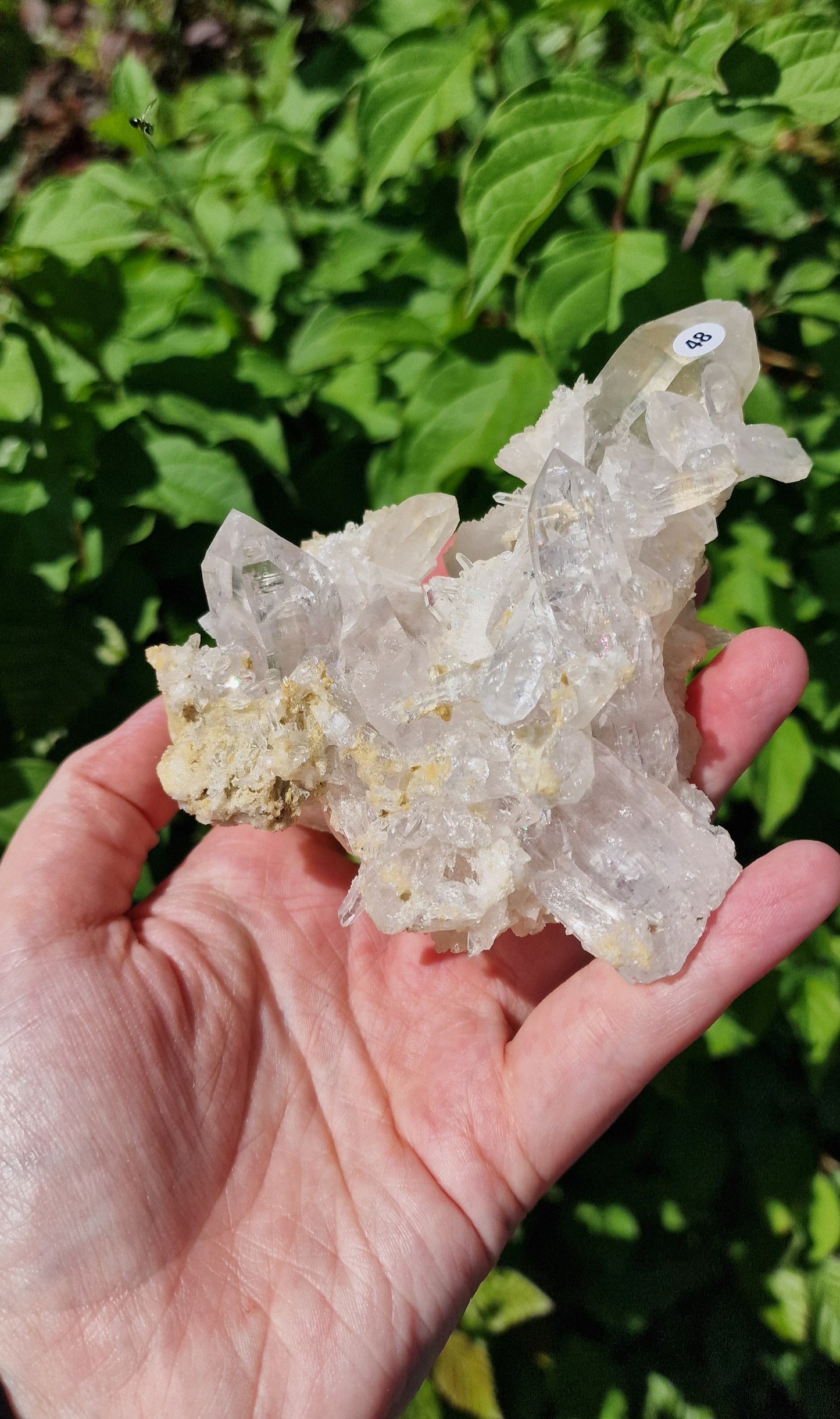 Bergkristalcluster nr 48