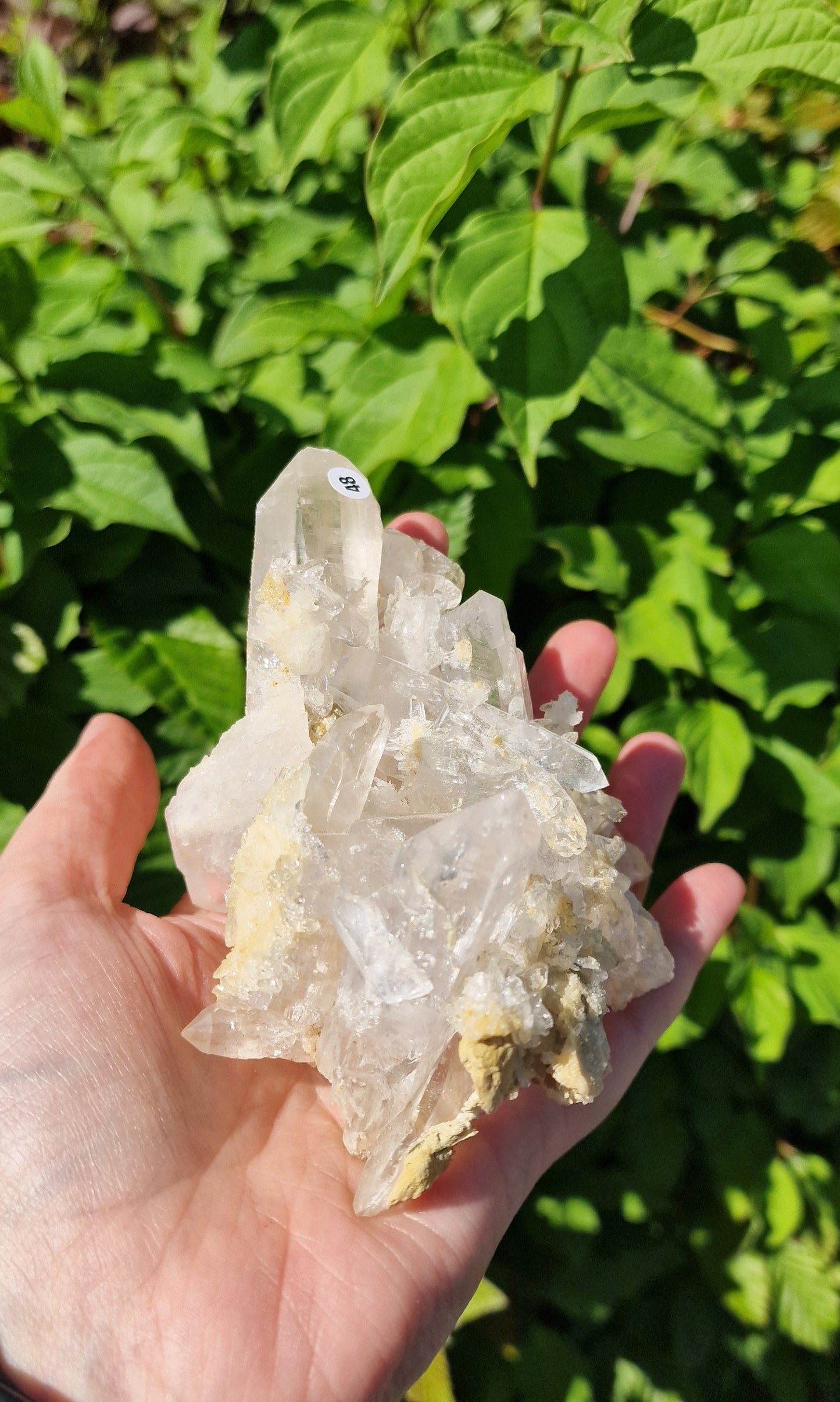 Bergkristalcluster nr 48