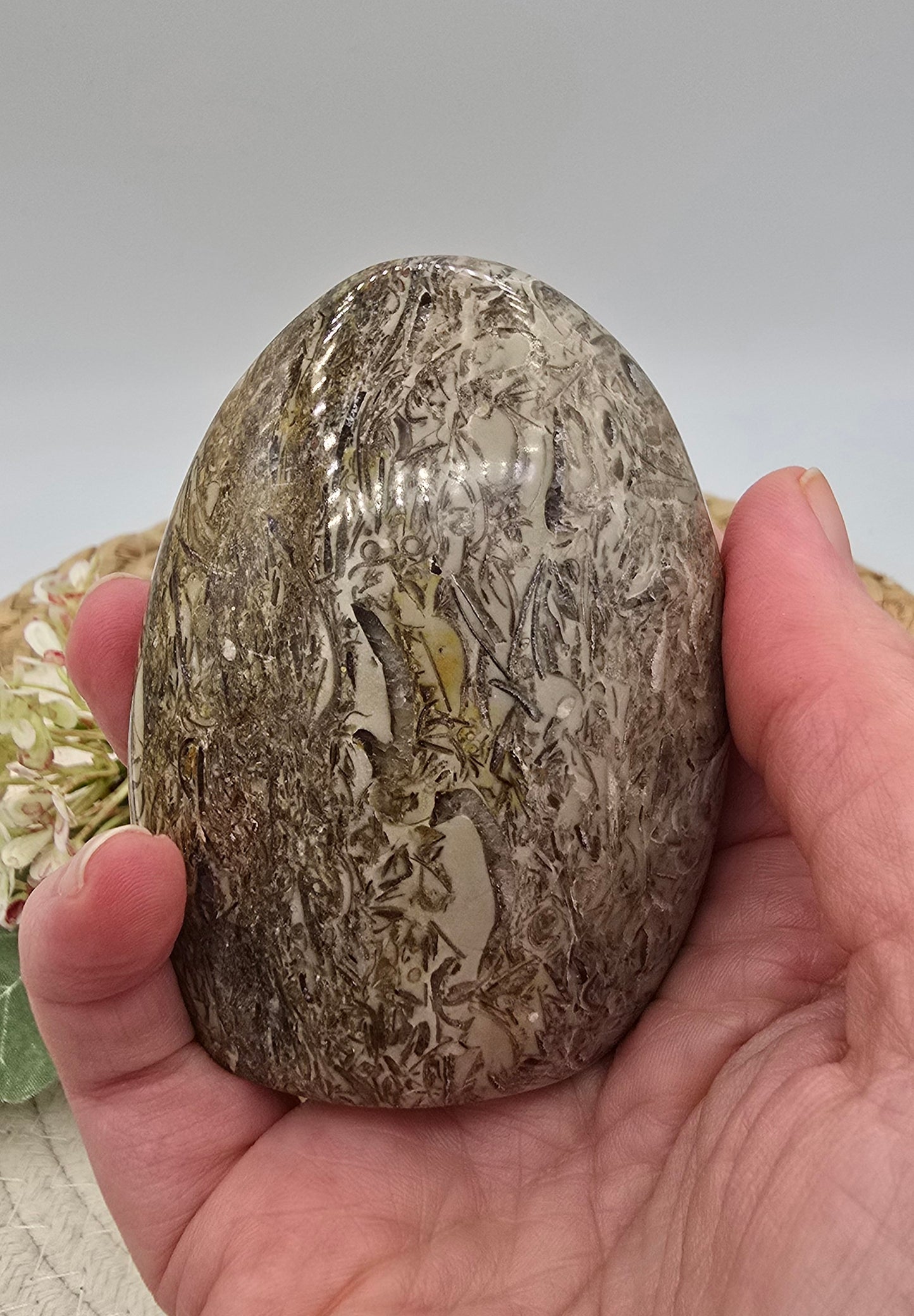 Fossiel jaspis sculptuur