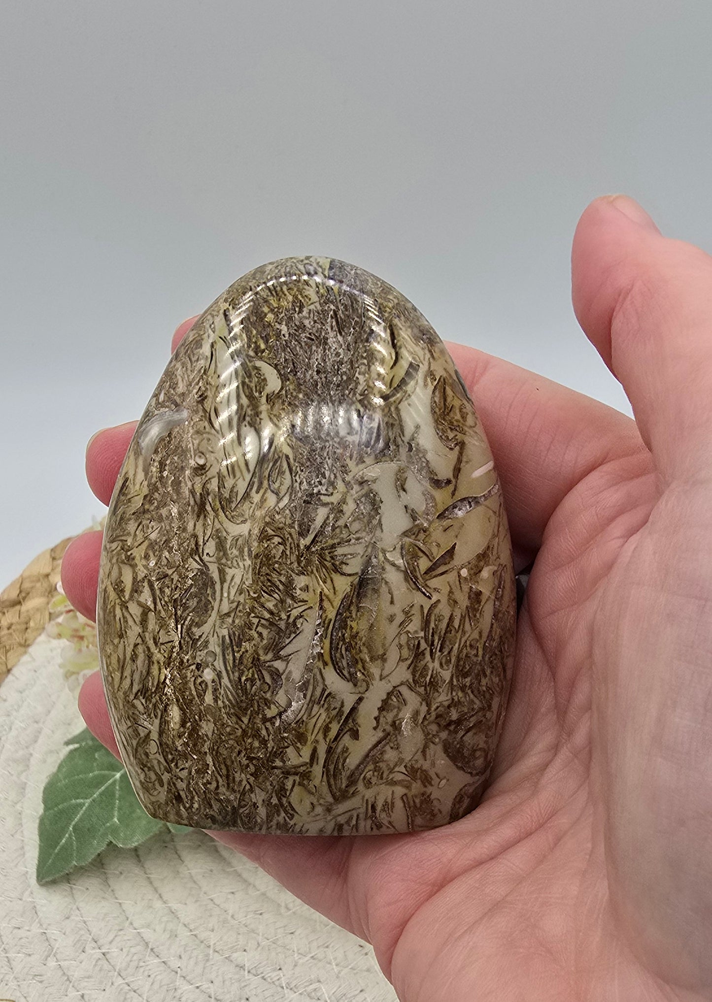 Fossiel jaspis sculptuur