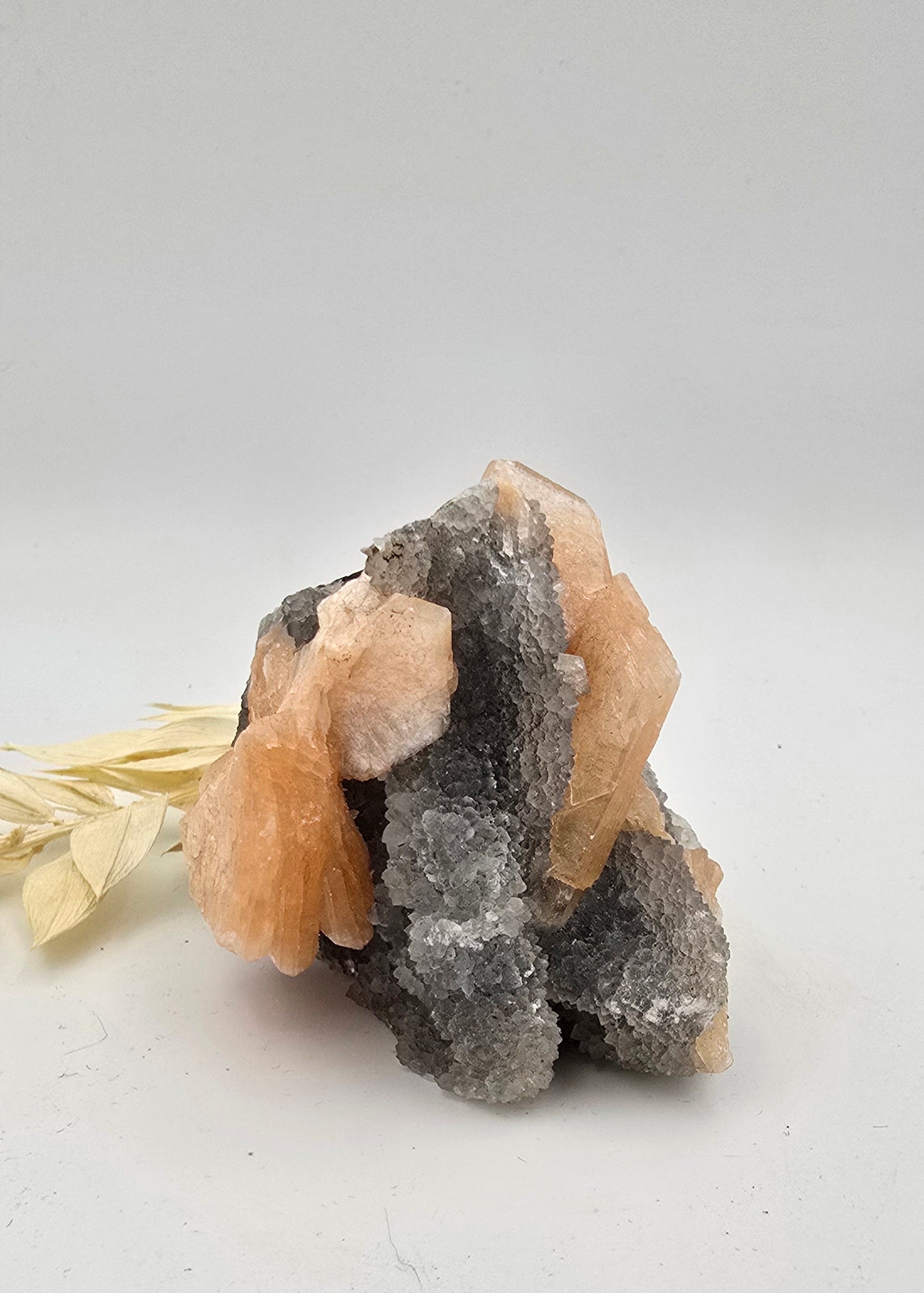 Chalcedoon met Stilbiet 52