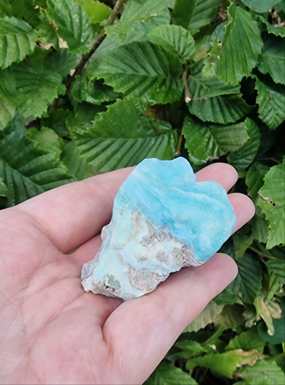 Caribbean blue Calciet