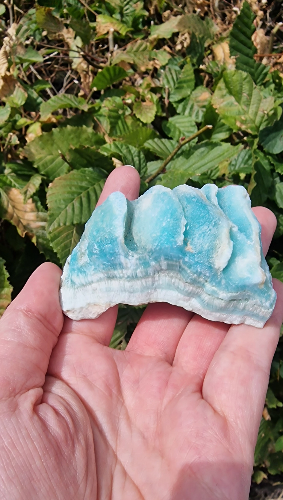 Caribbean blue Calciet