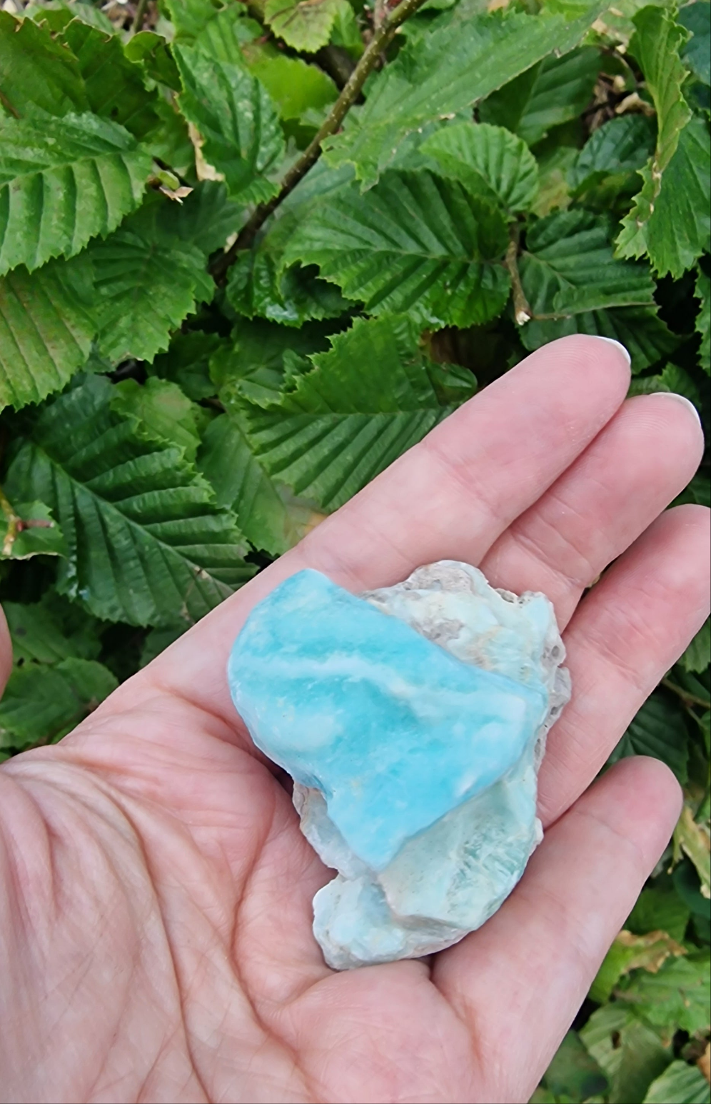 Caribbean blue Calciet